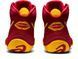 Борцівки DAN GABLE EVO 2 Cranberry/Saffron 2313664764 фото 3