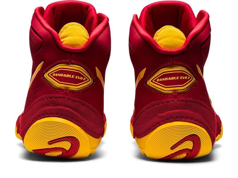 Борцівки DAN GABLE EVO 2 Cranberry/Saffron 2313664764 фото