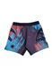 ШОРТИ MANTO FIGHT SHORTS LIVINGS MULTI COLOUR 1856824906 фото 4