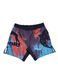 ШОРТИ MANTO FIGHT SHORTS LIVINGS MULTI COLOUR 1856824906 фото 1