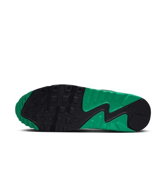 Кросівки чоловічі Nike Air Max 90 (DM0029-006) 2527313000 фото