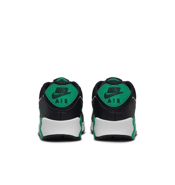 Кросівки чоловічі Nike Air Max 90 (DM0029-006) 2527313000 фото