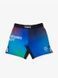 Шорты MANTO fight shorts SOCIETY gradient 1729548509 фото 1