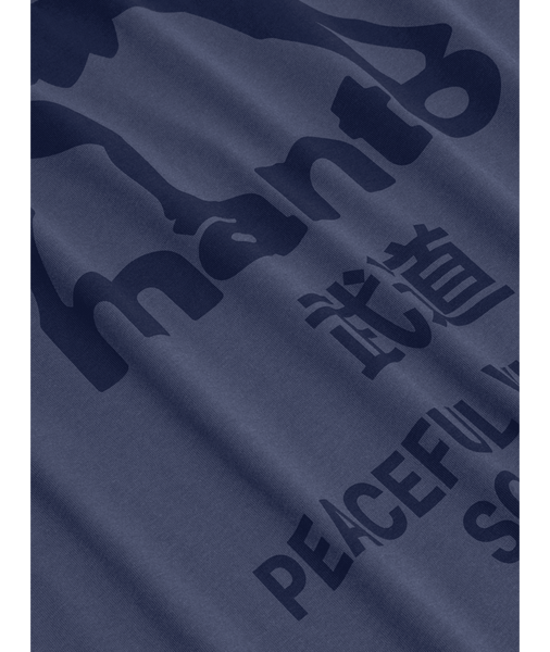 Футболка MANTO t-shirt SOCIETY - Steel blue 1255694149 фото