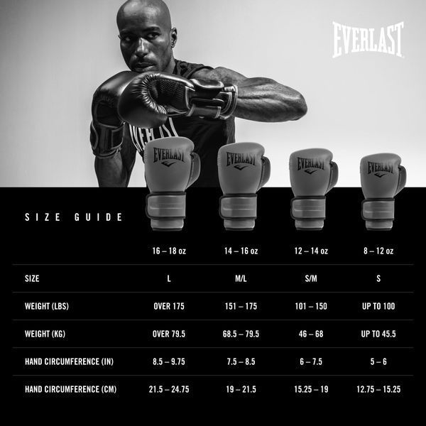 Боксерські рукавиці Everlast CORE 2 TRAINING GLOVE Black UNI 304960395 фото