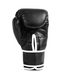 Боксерські рукавиці Everlast CORE 2 TRAINING GLOVE Black UNI 304960395 фото 5