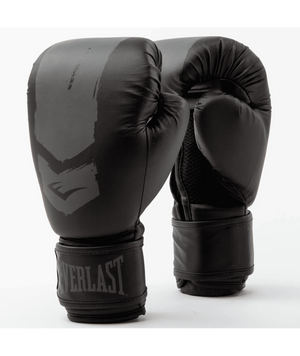 Детские боксерские перчатки Everlast PROSPECT 2 BOXING GLOVE Black/Gray UNI 039460325 фото
