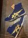 Борцовки Asics Tiger Wrestling Shoes EX-EO TWR900 Japan Navy/Yelloy 2457297052 фото 3