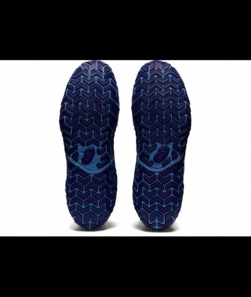 Борцовки Asics Aggressor 5 Azure/New Leaf 1081A048-400-8.5 фото