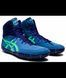 Борцовки Asics Aggressor 5 Azure/New Leaf 1081A048-400-8.5 фото 1