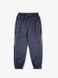 Штаны MANTO track pants VISION 2447981643 фото 3