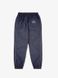 Штаны MANTO track pants VISION 2447981643 фото 4