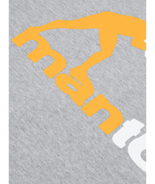 Кенгуру MANTO hoodie LOGO 25 heather gray 10985709 фото