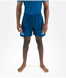 Шорти PROGRESS Balance Series Blue Noise Board Shorts 560978504 фото 1