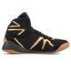 Боксерки Everlast Pivot Low Top Black/Gold 829465691 фото 2