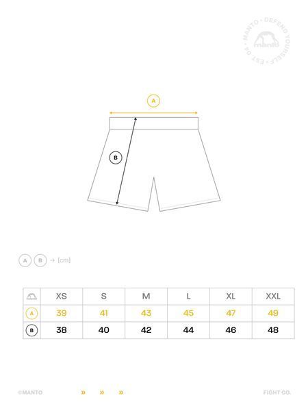 Шорты MANTO active shorts PULSE gray 2094570297 фото