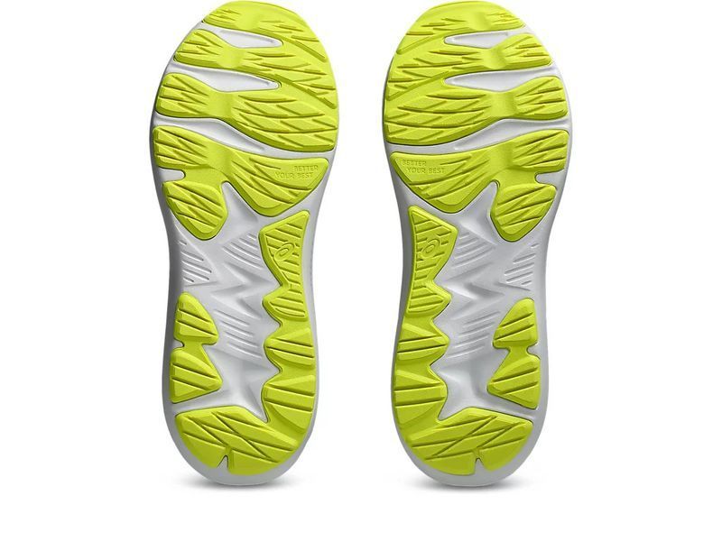 Кросівки Дитячі ASICS JOLT 4 GS Carrier Grey/Black 2153240494 фото